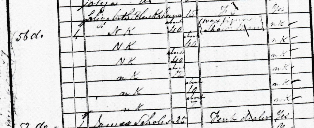 crop of census return 1841